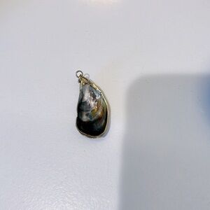 Shell pendant